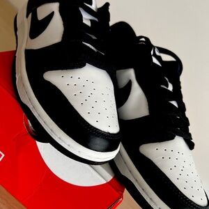 Mens Nike Dunk Low Shoes